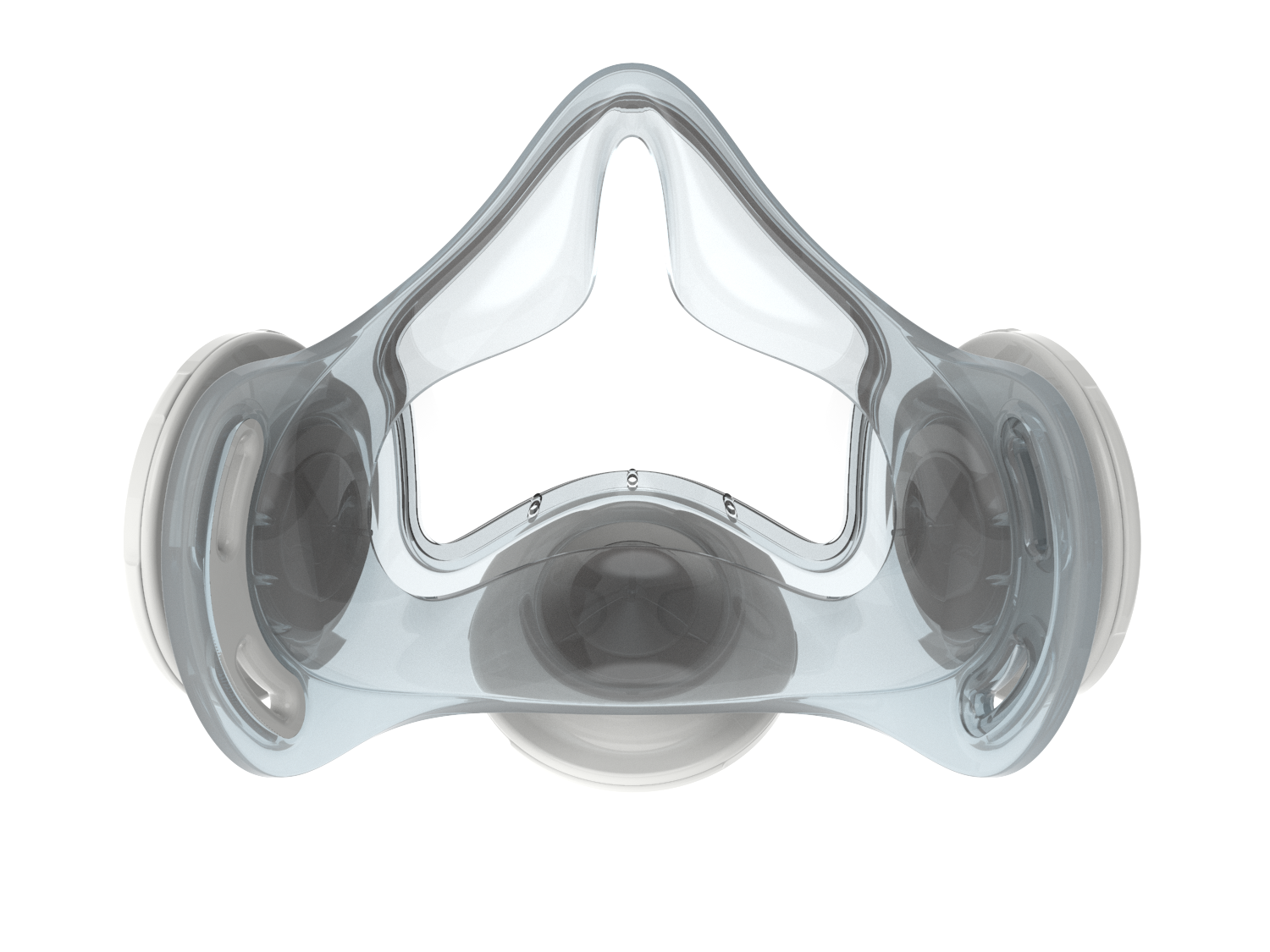 OmniMask
